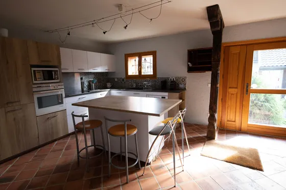 The kitchen: island, patterned tile splashback and a glazed door to the garden